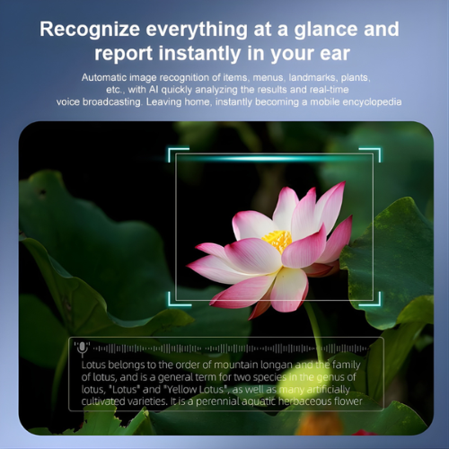 Kira® AI Smart Glasses